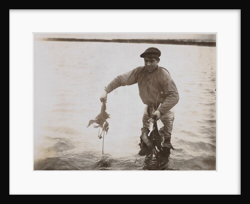Placing the Ducks in the Pool by Andrew Pitcairn-Knowles