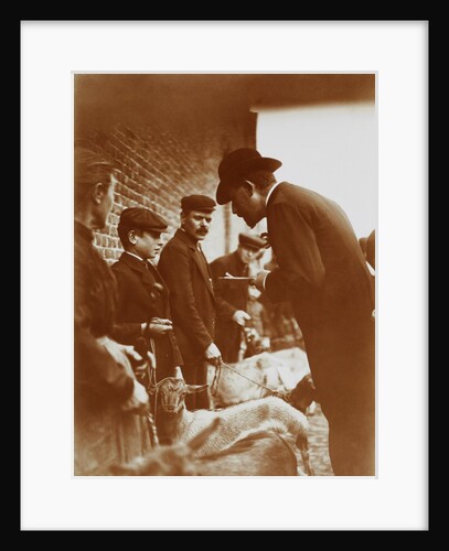 The Judge by Andrew Pitcairn-Knowles