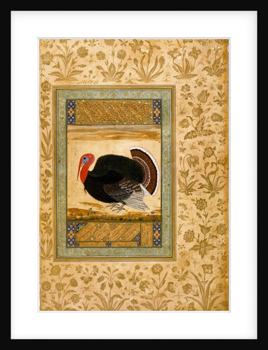 The arrival of the turkey from Goa by Ustad Mansur