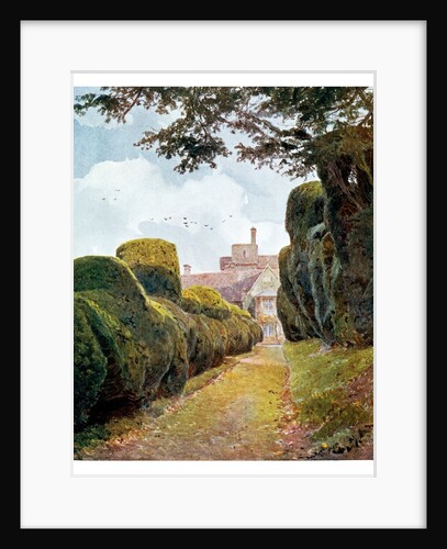 The Yew Alley, Rockingham by George Samuel Elgood