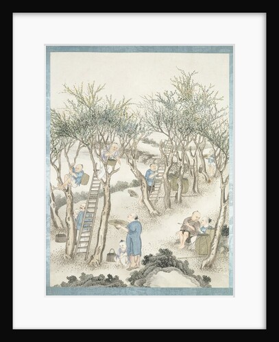 Gathering of mulberry leaves by Jun Wu