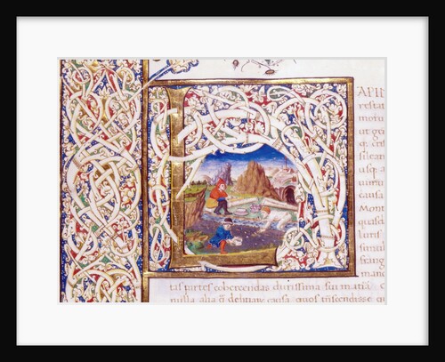 Initial L from Pliny`s Natural History by Pliny the Elder
