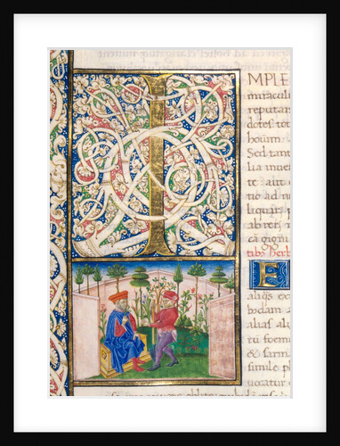 Initial I from Pliny`s Natural History by Pliny the Elder