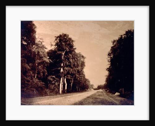 The Road to Chailly, Forest of Fontainebleau by Gustave Le Gray