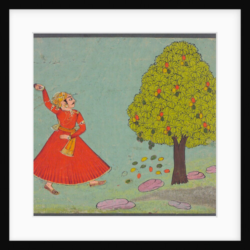 A man throwing stones at a mango tree. Bundi, India, 19th century by Unknown
