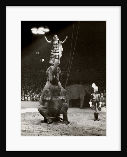 Elephant Ballet in Bertram Mills' Circus by Baron Nicholas de Racozcy