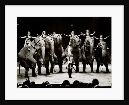 Elephants of Bertram Mills' Circus by Baron Nicholas de Racozcy
