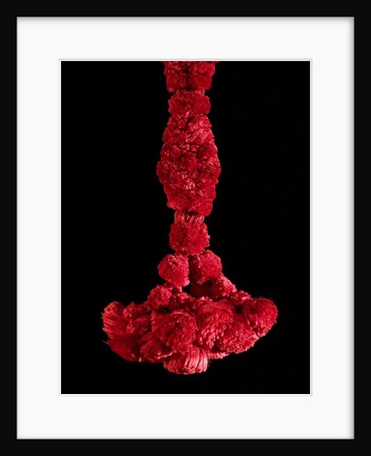 Red tassle of a cap by Unknown