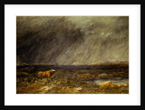 The Challenge: A Bull in a Storm on the Moor by David Cox The Elder