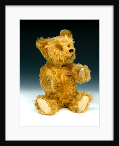 Yes/No teddy bear by Shuco