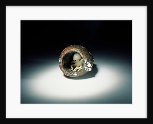 Netsuke by Ohara Mitsuhiro & Kaigyokusai Masatsugu