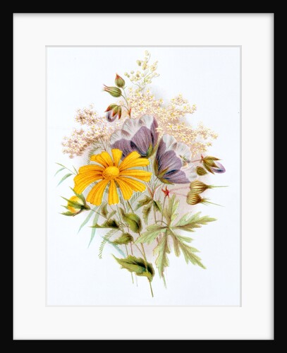 Wildflower bunch. London, England, late 19th century by Unknown