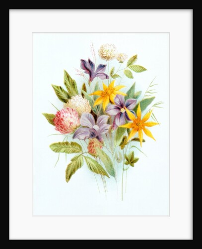 Clover and Lesser Periwinkle. London, England, late 19th century by Unknown
