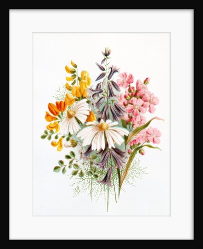 Wildflower bunch. London, England, late 19th century by Unknown