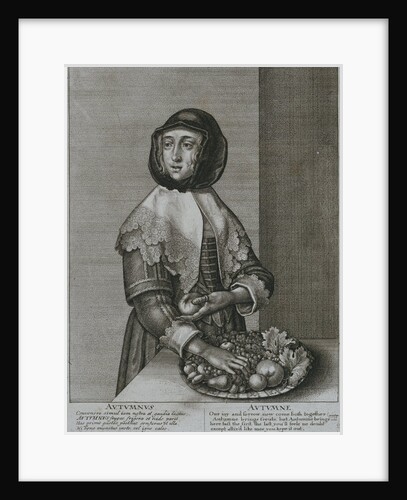 Autumn by Wenceslaus Hollar