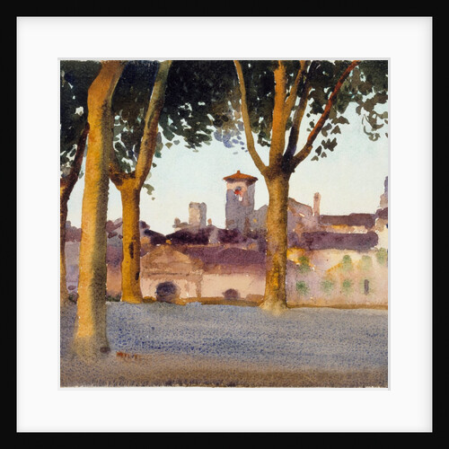 On the Walls, Lucca by Bulman