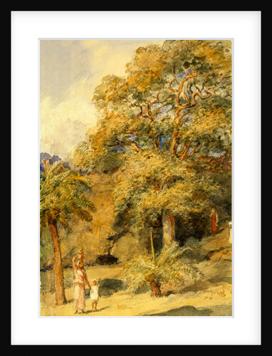 Tamarind and Wild Date Trees Beach Candy by William Carpenter
