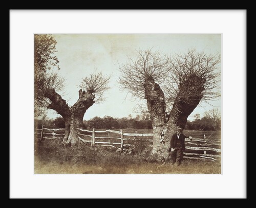Hedgerow Trees by Benjamin Brecknell Turner