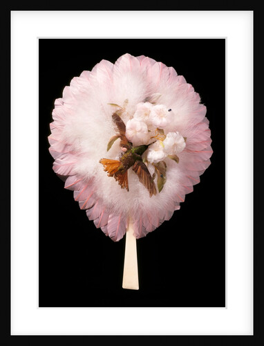 Circular feather fan. Brazil, 1880-1900 by M. & E. Natté(Melles)
