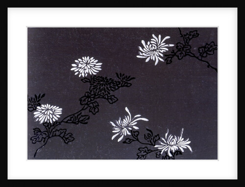 Chrysanthemums paper by Unknown