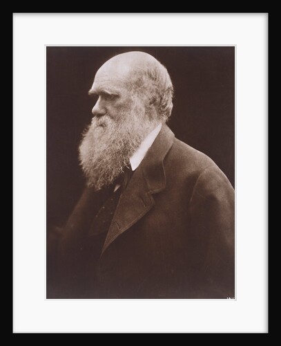 Charles Darwin by Julia Margaret Cameron