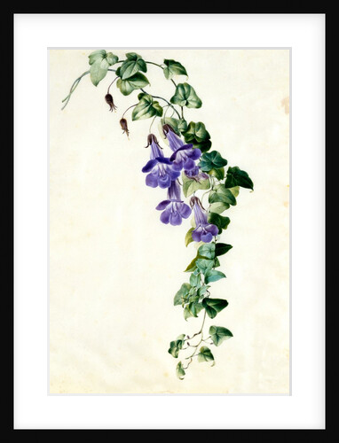 Trumpet shaped flowers by Unknown