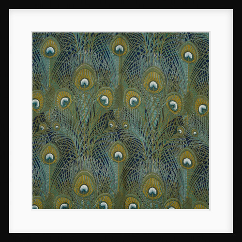 Peacock Feathers by Arthur Silver