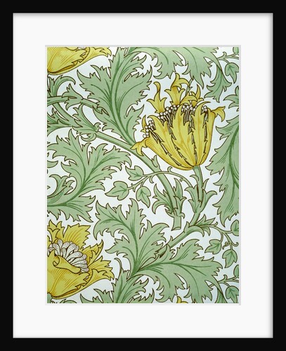 Anemone wallpaper by William Morris