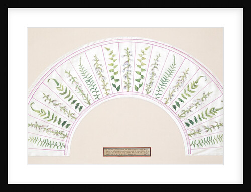 Design for a fan by P.A. Fry