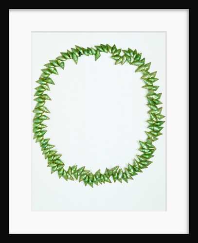 Necklace made from bright green Phasianotrochus eximius shells by unknown