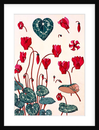 Cyclamen by Eugène Samuel Grasset
