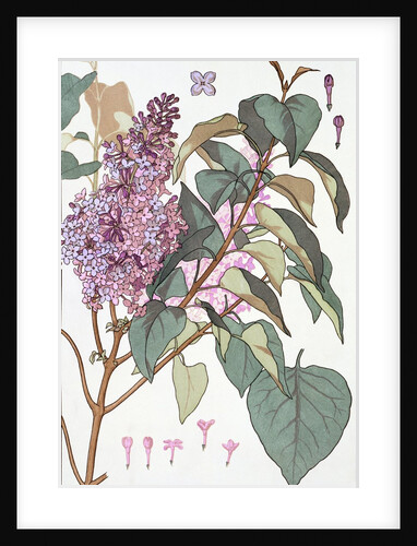 Lilac by Eugene Samuel Grasset