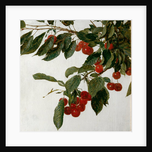 Cherries by Henri Fatin-Latour