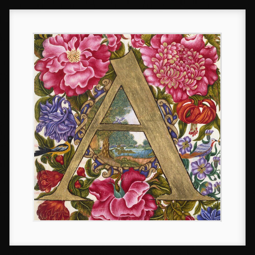 Initial A. Netherlands, 17th century by Unknown