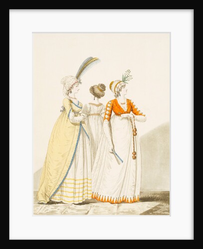 Fashion Plate by Anonymous