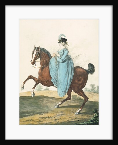 Fashion Plate by Anonymous