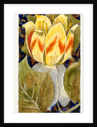 Lotus Flower by Various