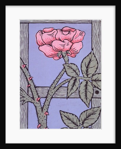 Climbing Rose wallpaper by William Morris