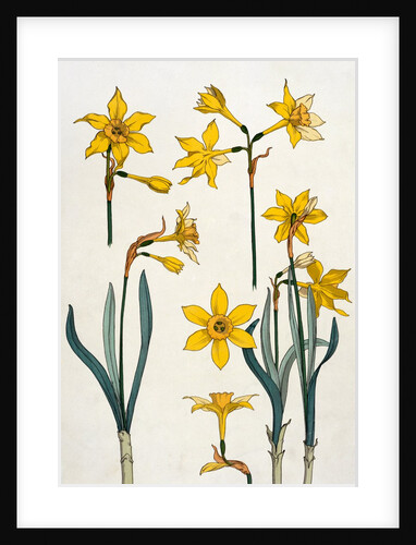 Jonquil by Eugène Samuel Grasset