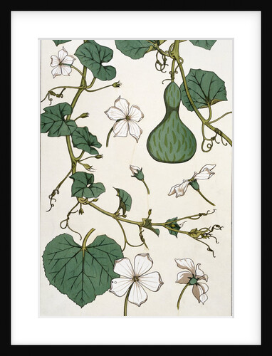 Gourd by Eugène Samuel Grasset