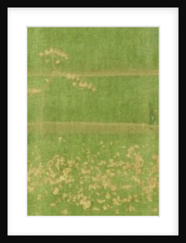 Oriental green patterned strip by Unknown