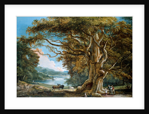 An Ancient Beech Tree by Paul Sandby