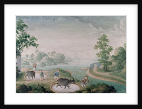 Oxen treading china stone in pits by Unknown