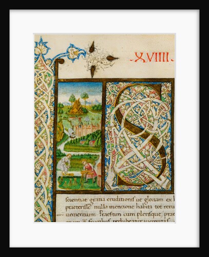Initial S, from Pliny's Natural History. Italy, mid-15th century by Pliny the Elder
