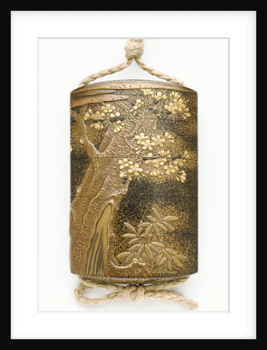 Inro depicting a Cherry tree by Kajikawa Bunryusai Tomohide