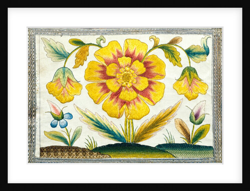 Marigold and poppy flowers. England, late 17th century by Anonymous