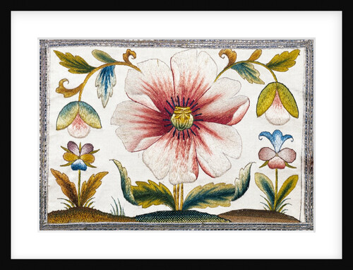 Marigold and poppy flowers. England, late 17th century by Anonymous