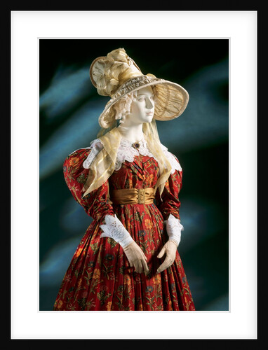 Printed cotton Day dress. England, 19th century by Unknown