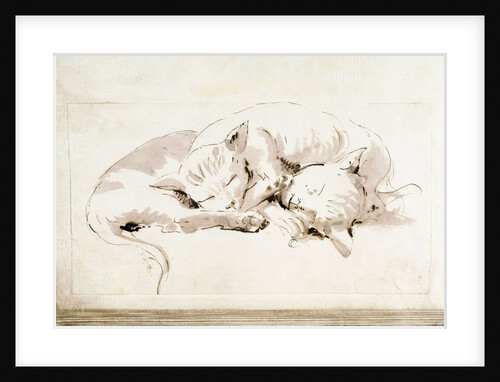 Two cats by Giovanni Battista Tiepolo