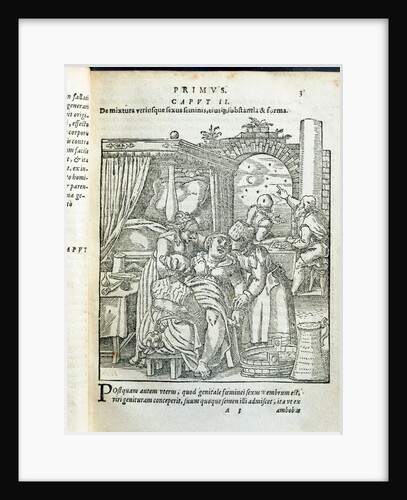 The birthing chamber by Jacobus Rueff